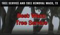 Best Waco Tree Service