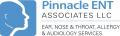 PENTA - CHESTER COUNTY OTOLARYNGOLOGY AND ALLERGY ASSOCIATES DIVISION