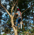 Columbia Landscaping and Tree Care