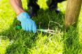 Lawn Care Cape Coral FL