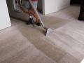 Carpet Cleaning Virginia Beach