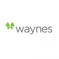 Waynes