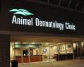 Animal Dermatology Clinic