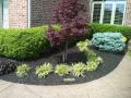 Allscape Landscaping