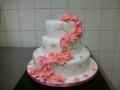 Cakes Arena