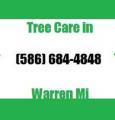 Tree Care in Warren Mi