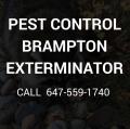 Pest Control Brampton Exterminator