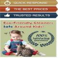 Carpet Cleaning The Woodlands