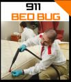 911 Bed Bugs