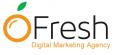 Fresh Traffic Group