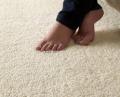Organic  Carpet Cleaning West Hollywood