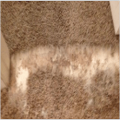 Glendale Carpet Repair & Cleaning