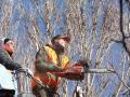 Tree Service Boulder