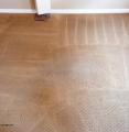 Hillsboro Carpet Cleaning