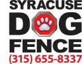 Syracuse Dog Fence