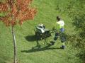 Pushmowers Lawn Care