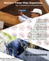 Resicert - Timber Pest Inspections | Termite Pest Inspection Geelong