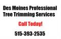 Des Moines Professional Tree Trimming Services