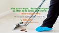 Emerald Carpet Upholstery Cleaning and Pest Control