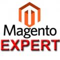 Magento Experts