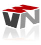 VN Web Group