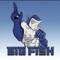 Big Fish Bail Bonds
