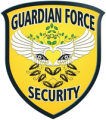 Guardian Force International Protection Group Inc