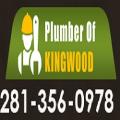 Plumber of Kingwood