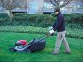 Northern Beaches Garden Care