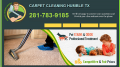 Carpet Cleaning Humble TX