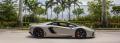 Miami's Beach Exotic Car Rentals