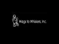 Wags To Whiskers Ltd