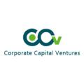 CCVIndia – Corporate Capital Ventures Pvt. Ltd. 