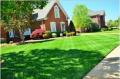 We Care Lawn Care Solutions