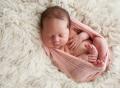 Little Orange Photography -  Maternity Photographer Gold Coast