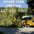 Ocoee Tree Service