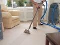 Steve Carpet Cleaning Industry