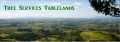 Tree Services Tablelands
