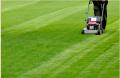 Arvada Lawn care Services