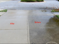 Pressure Washing Palm Harbor