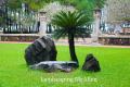 Landscaping McAllen