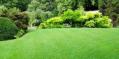Hutto Tree and Lawn Services