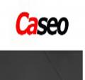 Caseo LTD - SEO Mississauga