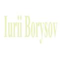 Iurii Borysov Website Development and Online Marketing