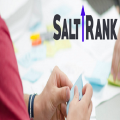 Salt Rank - Kansas City Seo Services