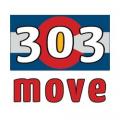 303Move