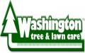 Washington Tree And Lawn Care