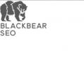 Black Bear SEO Raleigh