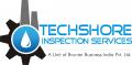 Techshore Inspection Services