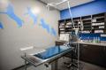 CityVet, an urban animal hospital